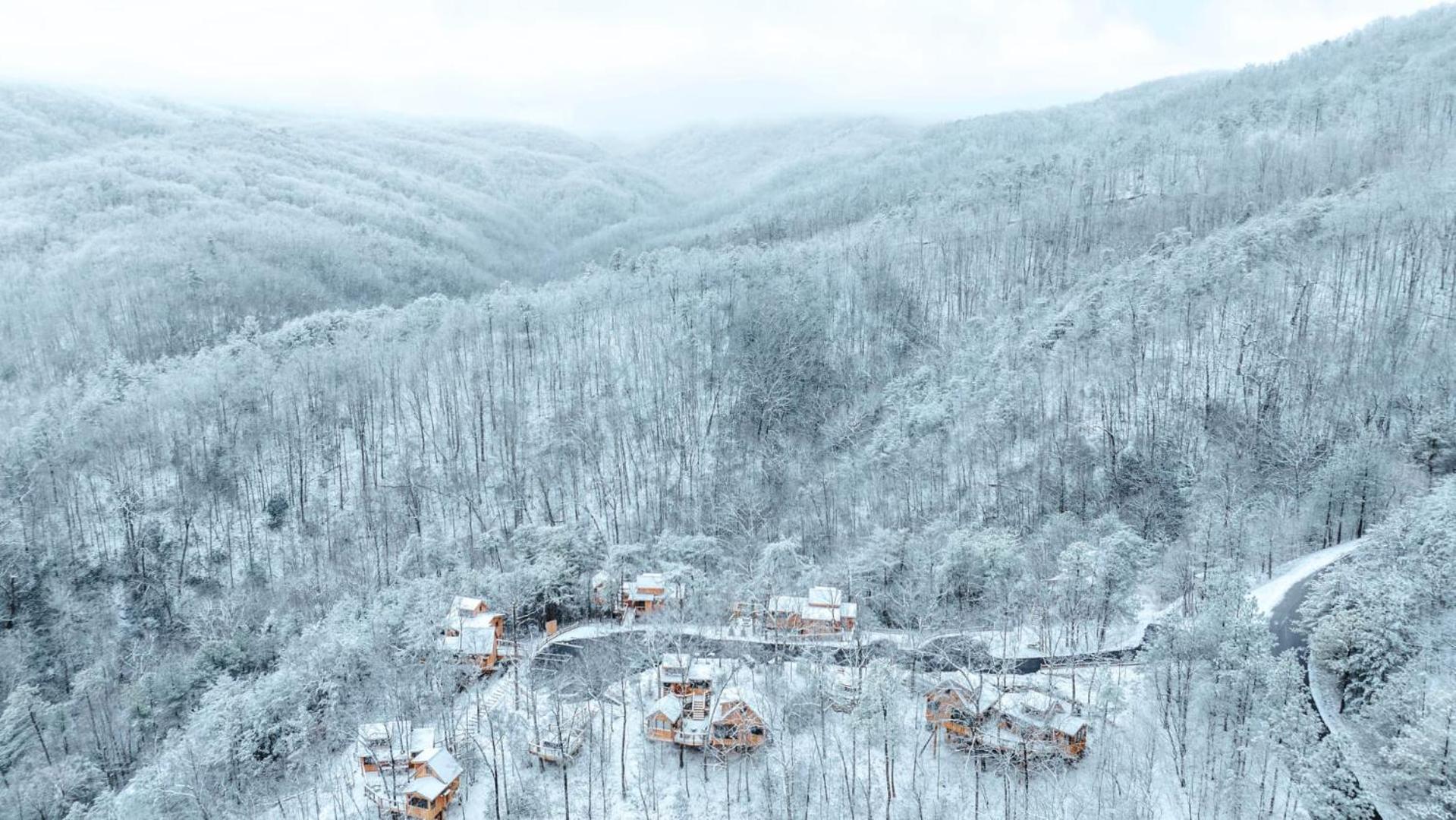 The Blackjack Oak In Treehouse Grove At Norton Creek Gatlinburg Exteriér fotografie